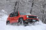 Jeep Renegade Trailhawk 2014 года (WW)